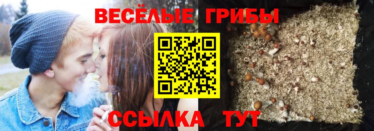 Псилоцибиновые грибы прущие грибы Славянск-на-Кубани