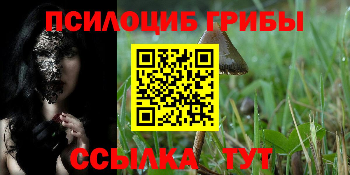 Галлюциногенные грибы ЛСД  Галлюциногенные грибы мухоморы  Славянск-на-Кубани  Вход с VPN 